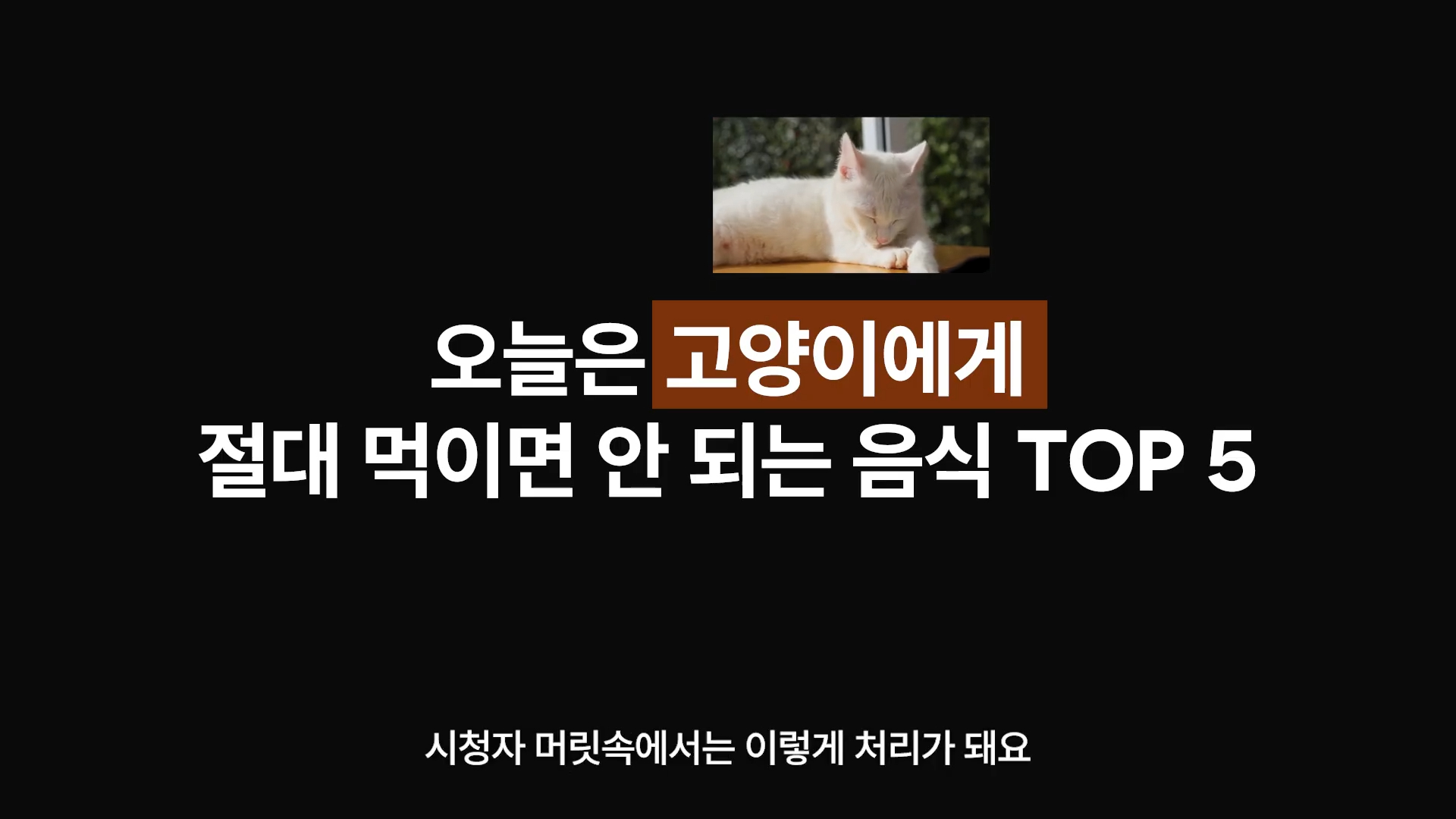 편집을 할 때 검토해야 할 의미 전체를 담은 문장